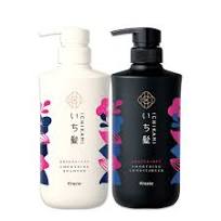 KRACIE ICHIKAMI Smoothing Shampoo & Conditioner Set 肌美精葵緹亞 新修復保濕 洗護套裝 480ml+480g