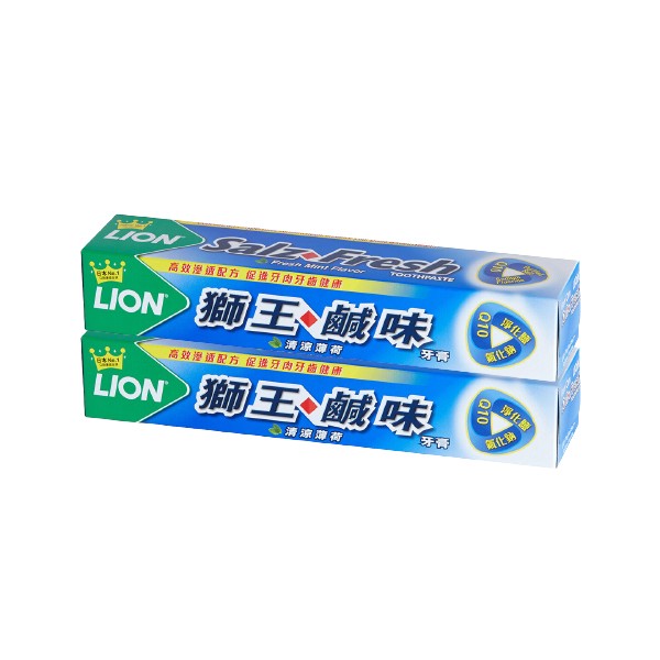 LION Salz Fresh Toothpaste 獅王鹹味牙膏套裝 160g X 2